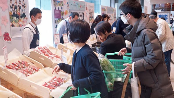 春野菜と全国各地のイチゴが集結「ＪＡ共済マルシェ」開催