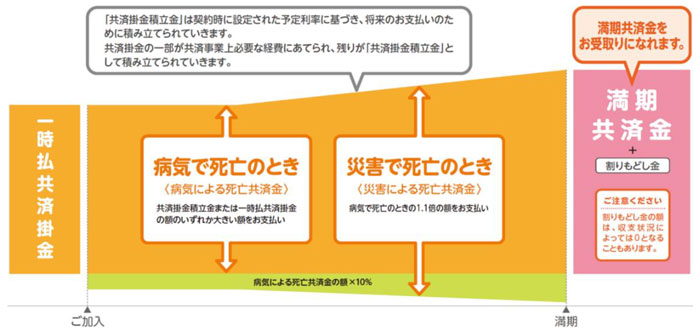 一時払養老生命共済の仕組概要