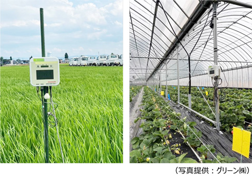 「e-kakashi」のほ場への設置イメージ（写真提供:グリーン）
