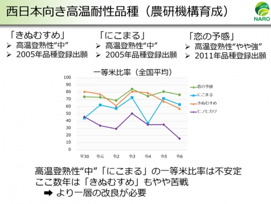西日本向き品種