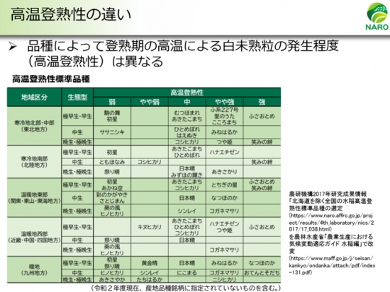 品種による高温登熟性の違い