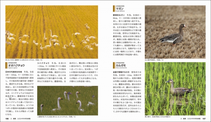 「鳥類」を新たな章として追加