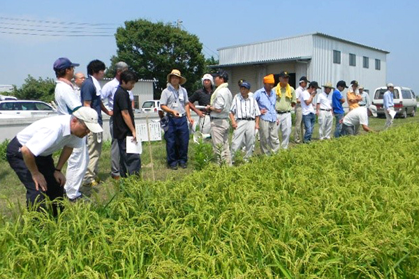 採種ほの現地検討（茨城県城里町）