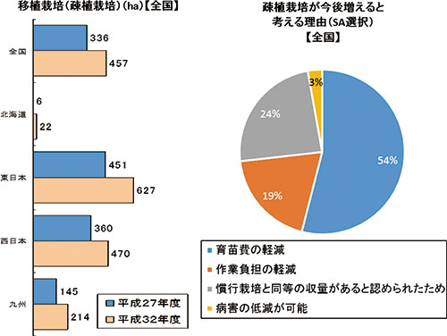  図8   疎植栽培