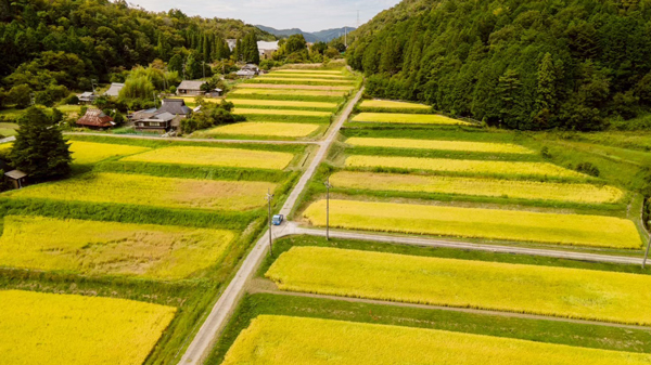 大阪府内でありながら日本の原風景が残る能勢町