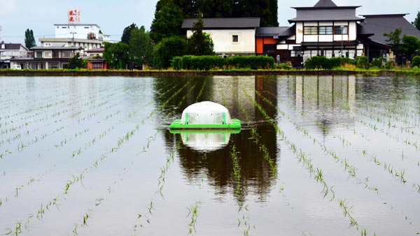 設定ルート通りに自動抑草するアイガモロボ