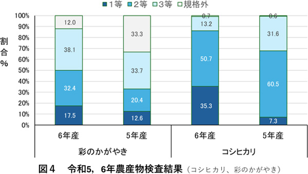 令和5年（2023年）は高温の影響で「コシヒカリ」では3等が、「彩のかがやき」では3等や規格外が多くなった。出所：全農さいたま「営農についての情報」9月2日付