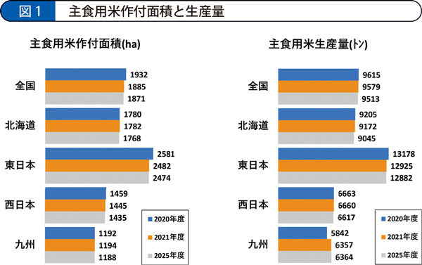 主食用米作付面積と生産量