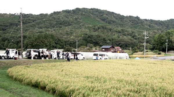 山口市の山間部・引谷の田んぼで山田錦を栽培