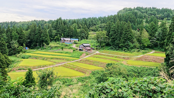 棚田遺産「池谷・入山棚田」