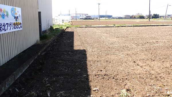 彩北アグリおおとねのほ場（右）と倉庫