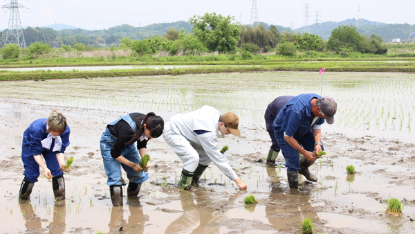 一苗一苗、手植えする参加者
