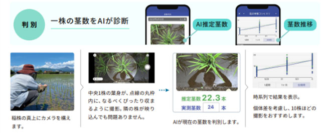 Growth eye茎数判別機能