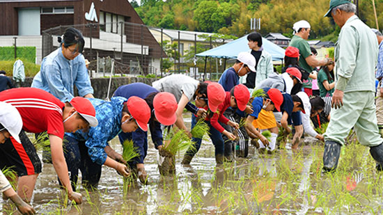 他地域より一足早く田植えを体験した樫田小学校の生徒ら（15日、高槻市）