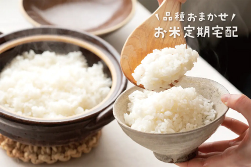 お米のサブスク「品種おまかせ定期便」新規受付を再開　坂ノ途中