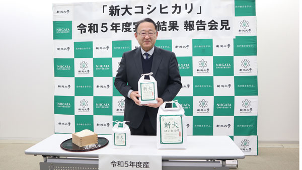 「新大コシヒカリ」23年産米　一般コシより品質低下を軽減　中干し延長で食味向上も　新潟大