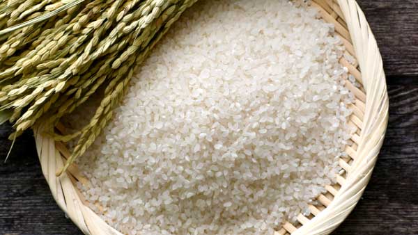 米需給見通し引き続き緩む　4月景況調査　米穀機構　
