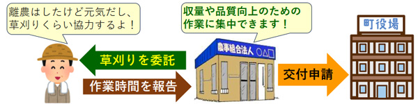 補助申請の流れ 　出所：つなん農地協働管理モデル「事業の概要」