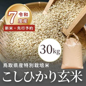 業務用規格こしひかり玄米のお知らせ