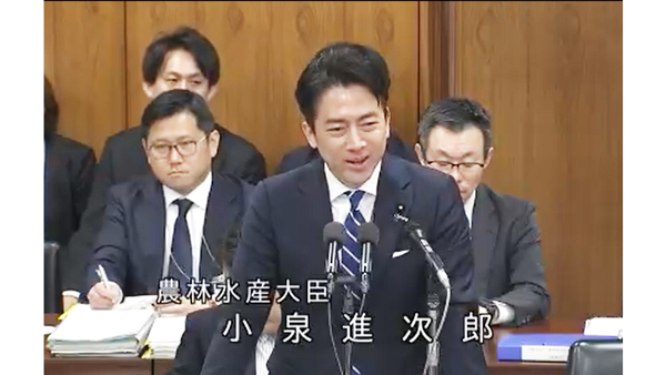 衆議院農林水産委員会に出席し与野党議員の質問に答える小泉進次郎農相（5月28日）