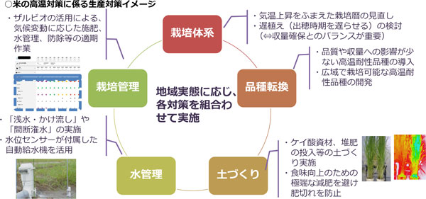 ○米の高温対策に係る生産対策イメージ　