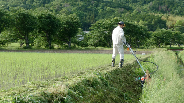 〇田んぼののり面の草刈り.jpg