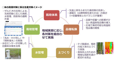 【全農　24年産米 生産・集荷・販売方針】（3）高温対策推進　インフラ整備