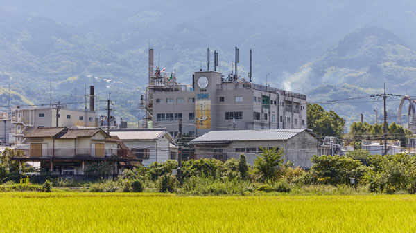 米ぬか由来成分が油脂中の香りを保つ効果を確認　福島大学と共同研究　築野食品工業