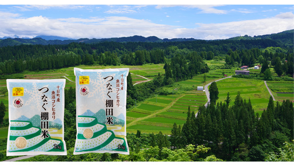 新潟県十日町市「つなぐ棚田米」ふるさと納税返礼品として提供開始