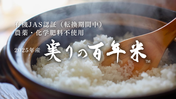 三重県いなべ市から直送　2025年産新米「実りの百年米」販売開始　KIMOTOファーム.jpg