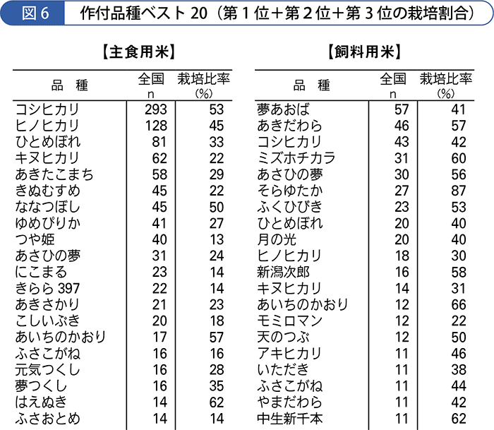 作付け品種ベスト20