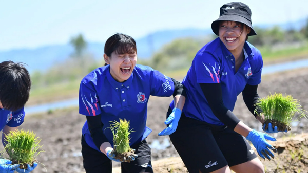 ＰＦＵブルーキャッツ石川かほくの選手