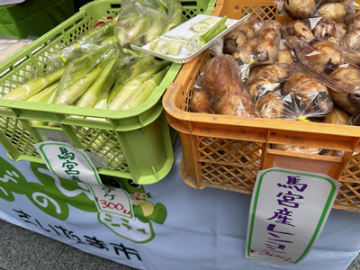 東京駅「秋の味覚マルシェ」で新米や採れたて野菜など販売　さいたま市