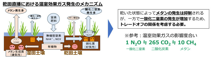 集会で、食政策センター・ビジョン21代表の安田節子さんは「乾田直播にするとメタンの発生は抑制されるが一酸化二窒素の発生が増加する」と指摘した（図は農水省「乾田直播・湛水直播の現状について」令和7年12月掲載の「乾田直播栽培における環境への影響について」）