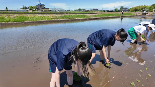 町工場の職人と親子や高校生が田植え