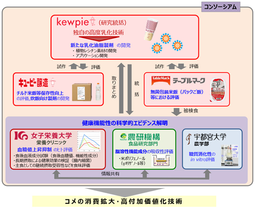 研究体制図