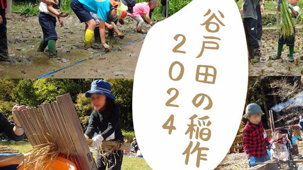 あきる野市　小峰公園の田んぼで米作り体験「谷戸田の稲作2024」参加家族を募集