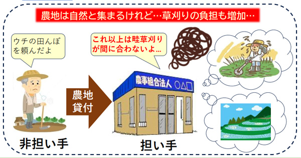 農地集積に伴って草刈り負担が増加する 　出所：つなん農地協働管理モデル「事業の概要」