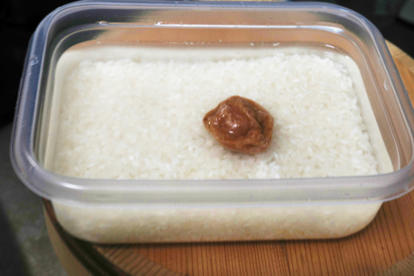 よく研いだ後、梅干しを入れて冷蔵庫で一晩水に浸けた