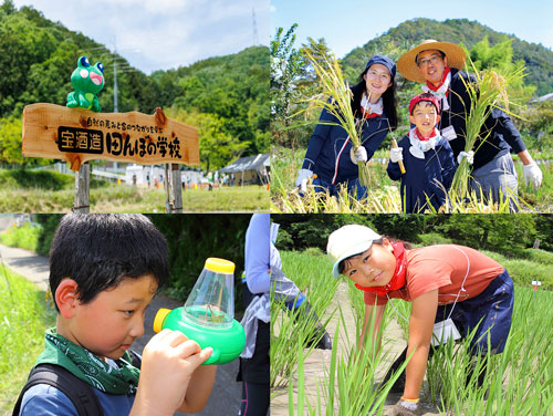 宝酒造「田んぼの学校」2024年　参加者を募集開始