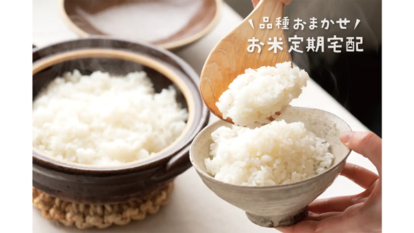お米のサブスク「品種おまかせ定期便」新規受付を再開　坂ノ途中.jpg