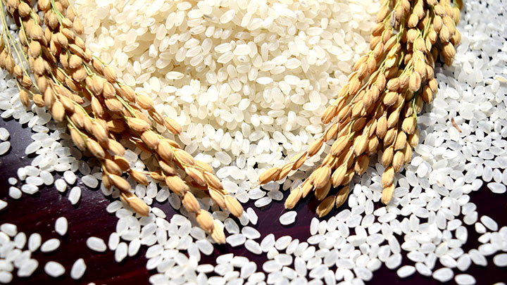 米の消費　GWで中・外食で前年比6％増