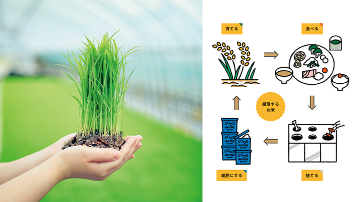 食品ロス堆肥で作った米を初収穫　循環型産業プロジェクト本格始動　ビオスタイル