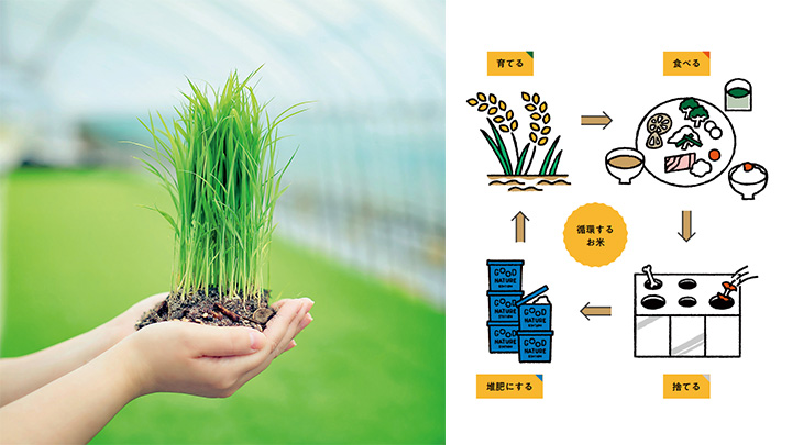 循環するお米のサイクル