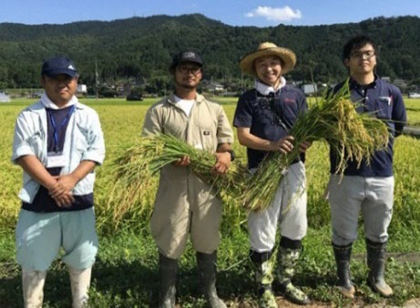 「Hyogo Sake 85」を収穫する兵庫県丹波市の生産者、農協職員ら（提供：兵庫県立農林水産技術総合センター）
