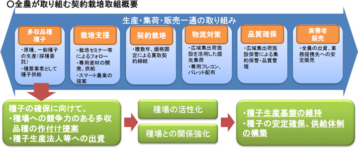 （図8）ＪＡ未・低利用者への積極的推進による契約栽培の拡大と種子の確保