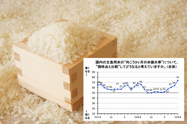 国内の主食用米の