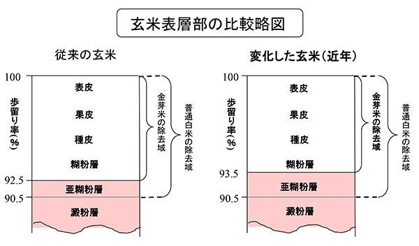 玄米表層部の比較略図　東洋ライス