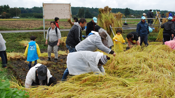 那須山麓米生産者と稲刈り交流会