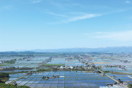 東川町の鏡面水田